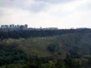 VENTA/RENTA DEPARTAMENTO CON BOSQUE Y AMENITIES EN TRES...