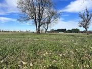 Venta/Terreno Comercial 500m2 Don Igancio Funes