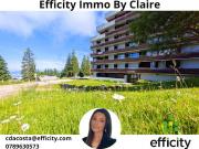 Vente Appartement 1 pièce 17.5 m2 Chamrousse