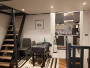 Vente Appartement 1 pièce 24.75 m2 Paris 15ème