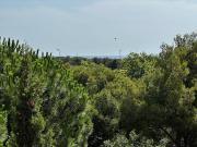 Vente Appartement 1 pièce 25 m2 Le cap d'agde