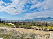 Vente Appartement 1 pièce 27.6 m2 Pietrosella