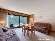 Vente Appartement 1 pièce 29.32 m2 Chamonix Mont Blanc
