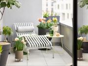 Vente Appartement 1 pièce 33 m2 Sète