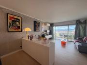 Vente Appartement 1 pièce 35 m2 Antibes