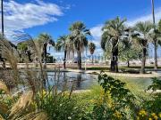 Vente Appartement 1 pièce 46 m2 Cannes Vente Appartement 1 pièce 46 m2 Cannes