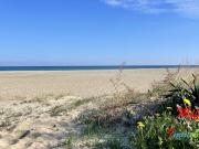 Vente Appartement 2 pièces 33 m2 Canet en Roussillon