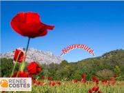 Vente Appartement 2 pièces 37 m2 Aix en Provence