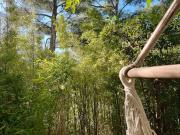 Vente Appartement 2 pièces 43.55 m2 Marseille 8ème