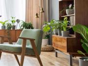 Vente Appartement 2 pièces 43 m2 Montpellier