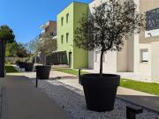 Vente Appartement 2 pièces 44 m2 Villeneuve lès Maguelone