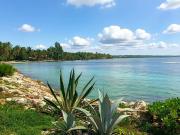 Vente Appartement 2 pièces 45 m2 Sainte Anne