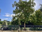 Vente Appartement 2 pièces 46.09 m2 Paris 14ème