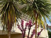 Vente Appartement 2 pièces 46 m2 Carcassonne