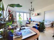 Vente Appartement 2 pièces 50 m2 Issy les Moulineaux
