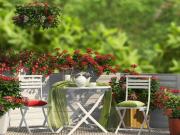 Vente Appartement 3 pièces 50 m2 Nice