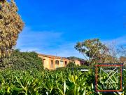 Vente Appartement 3 pièces 50 m2 Six Fours les Plages