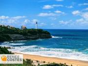 Vente Appartement 3 pièces 55 m2 Anglet