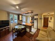 Vente Appartement 3 pièces 56.34 m2 Grenoble
