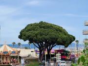 Vente Appartement 3 pièces 56 m2 Cavalaire sur Mer