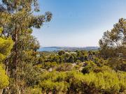 Vente Appartement 3 pièces 60 m2 Villeneuve Loubet