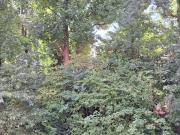 Vente Appartement 3 pièces 62 m2 Poissy