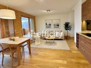 Vente Appartement 3 pièces 62 m2 Saint Etienne de Tinée