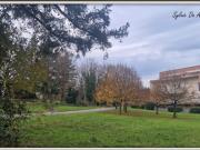 Vente Appartement 3 pièces 64 m2 Belleville