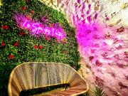 Vente Appartement 3 pièces 64 m2 Saint Maximin la Sainte...