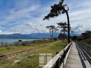 Vente Appartement 3 pièces 65.62 m2 Calvi