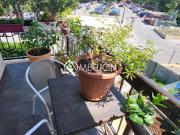 Vente Appartement 3 pièces 65 m2 Frejus
