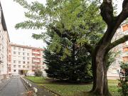 Vente Appartement 3 pièces 67.04 m2 Villeurbanne