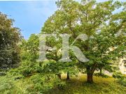 Vente Appartement 3 pièces 67 m2 Paris 15ème