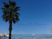 Vente Appartement 3 pièces 68 m2 Arcachon