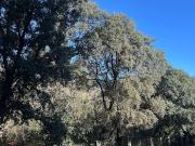 Vente Appartement 3 pièces 70.8 m2 Toulouse