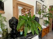 Vente Appartement 3 pièces 72 m2 Nimes