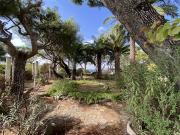 Vente Appartement 3 pièces 77.41 m2 Saint Cyr sur Mer