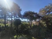 Vente Appartement 3 pièces 80 m2 Cannes