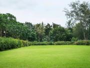 Vente Appartement 3 pièces 80 m2 Saint raphael