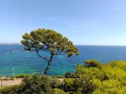 Vente Appartement 3 pièces 84 m2 Cannes