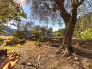 Vente Appartement 3 pièces 98 m2 Peillon