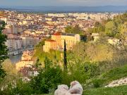 Vente Appartement 4.5 pièces 140 m2 Lyon 6ème