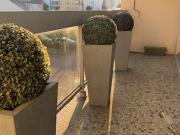 Vente Appartement 4 pièces 110 m2 Rouen