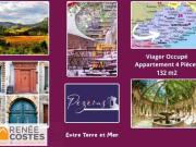 Vente Appartement 4 pièces 135 m2 Pezenas