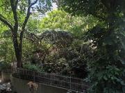 Vente Appartement 4 pièces 65 m2 Paris 20ème