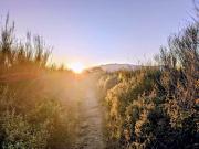 Vente Appartement 4 pièces 89.44 m2 Borgo