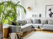 Vente Appartement 54 m2 Marseille 11ème
