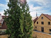 Vente Appartement 5 pièces 121 m2 Colmar