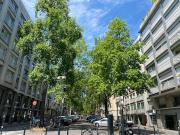 Vente Appartement 5 pièces 142.1 m2 Nantes