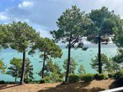 Vente Appartement 5 pièces 95 m2 Lège Cap Ferret